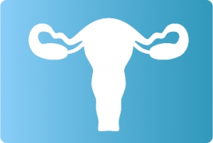 Ginecolog&iacute;a y Obstetricia